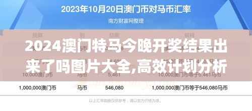 2024澳门特马今晚开奖结果出来了吗图片大全,高效计划分析实施_DX版3.963-9