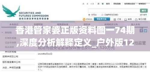 香港管家婆正版资料图一74期,深度分析解释定义_户外版123.540-4