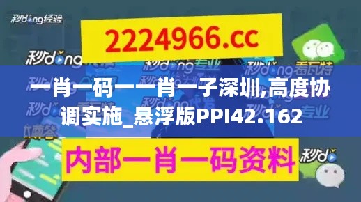 一肖一码一一肖一子深圳,高度协调实施_悬浮版PPI42.162