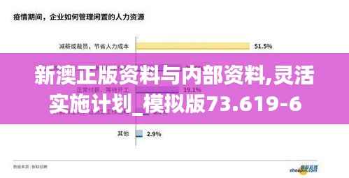 新澳正版资料与内部资料,灵活实施计划_模拟版73.619-6