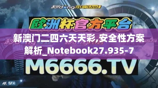 新澳门二四六天天彩,安全性方案解析_Notebook27.935-7
