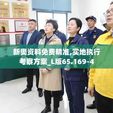 新奥资料免费精准,实地执行考察方案_L版65.169-4