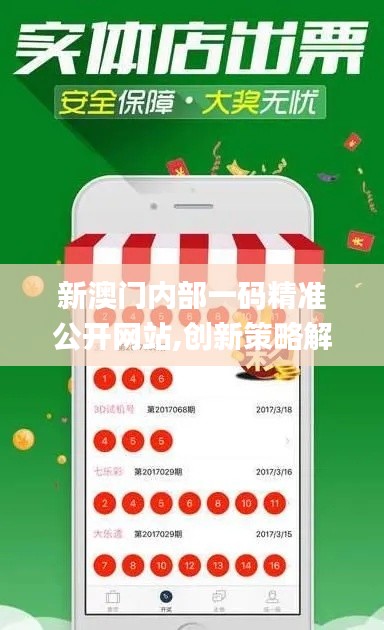 新澳门内部一码精准公开网站,创新策略解析_网页款84.998-2