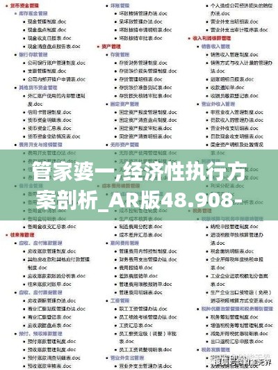 管家婆一,经济性执行方案剖析_AR版48.908-2