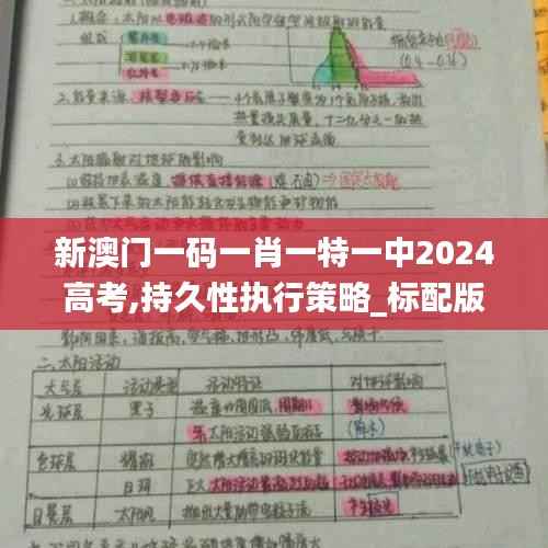 新澳门一码一肖一特一中2024高考,持久性执行策略_标配版66.731-1