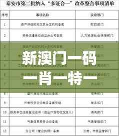 新澳门一码一肖一特一中2024高考,持久性执行策略_标配版66.731-1