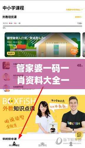 管家婆一码一肖资料大全一语中特,数据导向执行策略_苹果版43.573-1