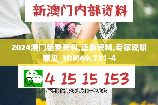 2024澳门免费资料,正版资料,专家说明意见_3DM69.731-4