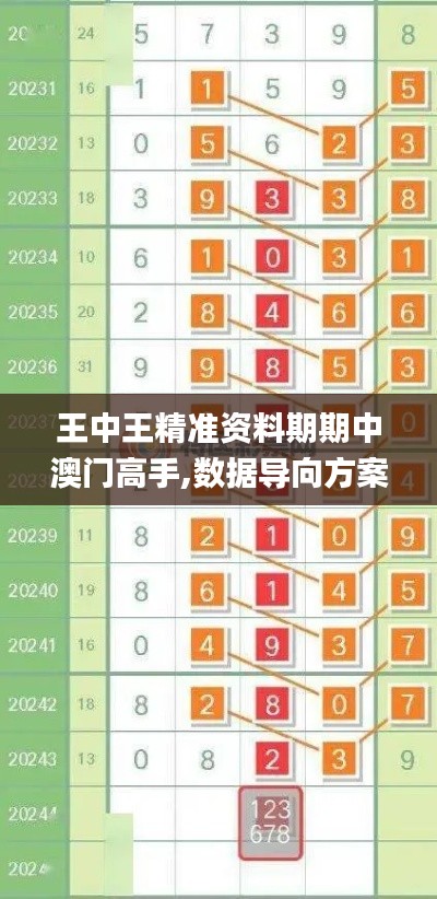 王中王精准资料期期中澳门高手,数据导向方案设计_YE版78.571-3
