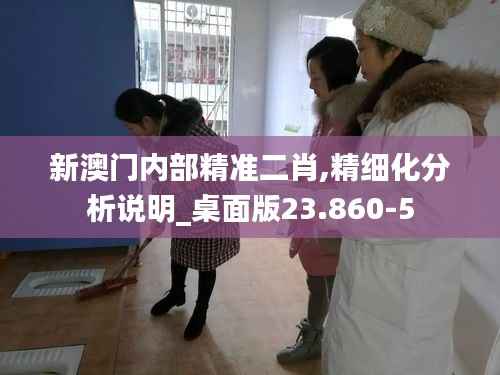 新澳门内部精准二肖,精细化分析说明_桌面版23.860-5