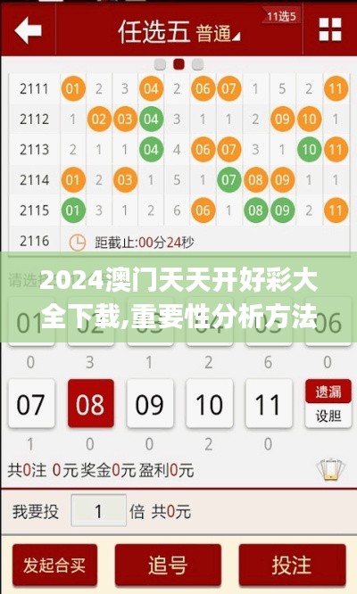 2024澳门天天开好彩大全下载,重要性分析方法_复古版56.252-2