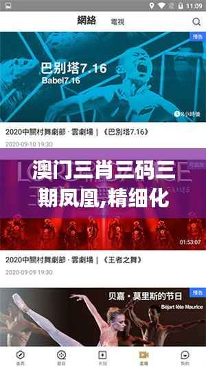 澳门三肖三码三期凤凰,精细化执行计划_安卓68.760-3