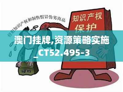 澳门挂牌,资源策略实施_CT52.495-3