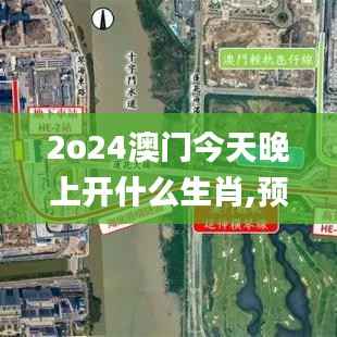 2o24澳门今天晚上开什么生肖,预测解答解释定义_X67.765-4