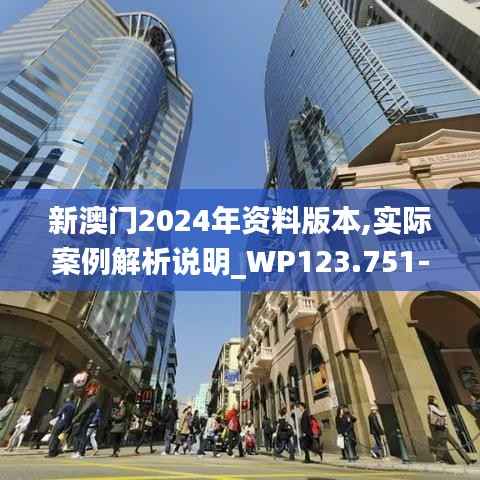 新澳门2024年资料版本,实际案例解析说明_WP123.751-2
