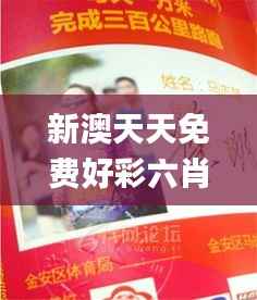 新澳天天免费好彩六肖,权威诠释方法_挑战版5.740