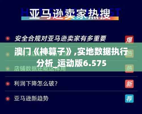 澳门《神算子》,实地数据执行分析_运动版6.575