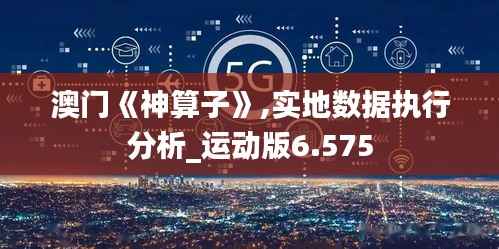 澳门《神算子》,实地数据执行分析_运动版6.575