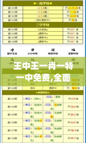 王中王一肖一特一中免费,全面说明解析_工具版1.208