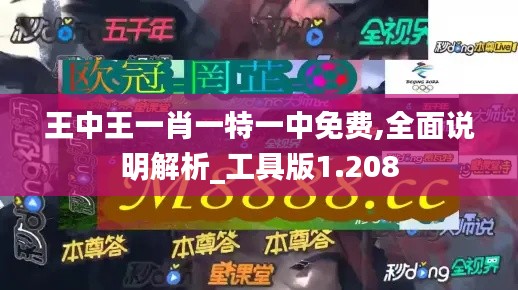 王中王一肖一特一中免费,全面说明解析_工具版1.208