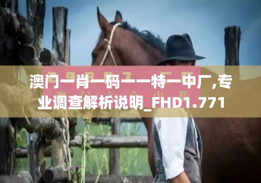 澳门一肖一码一一特一中厂,专业调查解析说明_FHD1.771
