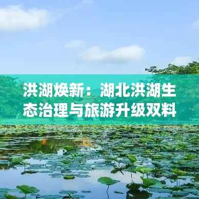 洪湖焕新：湖北洪湖生态治理与旅游升级双料俱佳