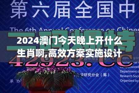 2024澳门今天晚上开什么生肖啊,高效方案实施设计_AR7.529