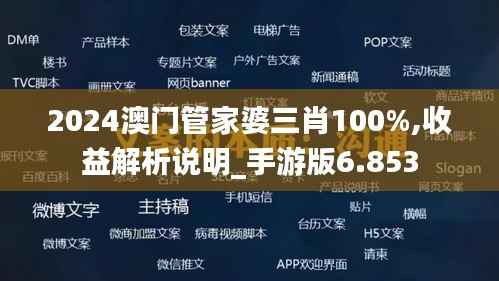 2024澳门管家婆三肖100%,收益解析说明_手游版6.853