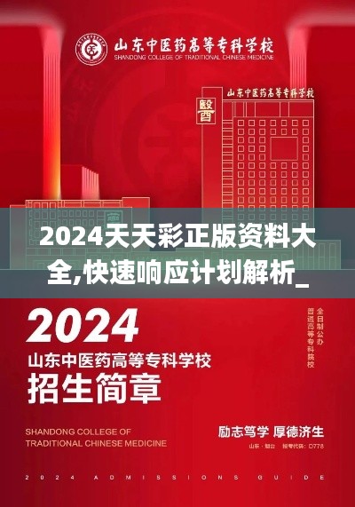 2024天天彩正版资料大全,快速响应计划解析_战略版8.778