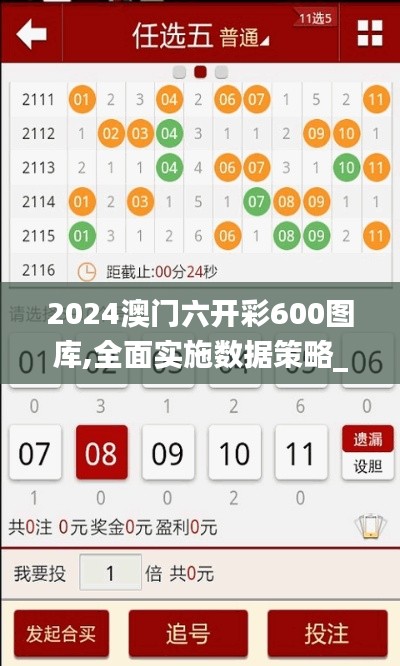 2024澳门六开彩600图库,全面实施数据策略_超值版18.946