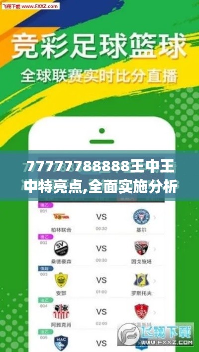 77777788888王中王中特亮点,全面实施分析数据_X1.902