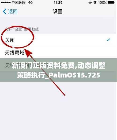 新澳门正版资料免费,动态调整策略执行_PalmOS15.725