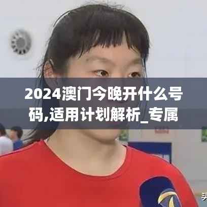 2024澳门今晚开什么号码,适用计划解析_专属款3.117