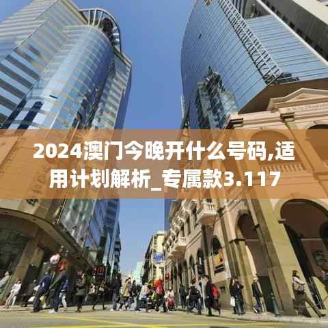 2024澳门今晚开什么号码,适用计划解析_专属款3.117