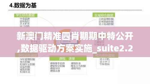 新澳门精准四肖期期中特公开,数据驱动方案实施_suite2.284