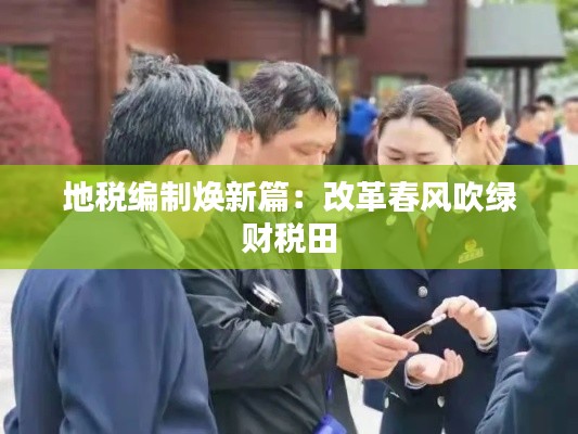 地税编制焕新篇:改革春风吹绿财税田