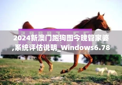 2024新澳门跑狗图今晚管家婆,系统评估说明_Windows6.787
