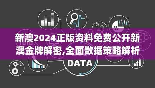 新澳2024正版资料免费公开新澳金牌解密,全面数据策略解析_XR6.830