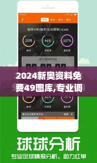 2024新奥资料免费49图库,专业调查解析说明_领航版10.974
