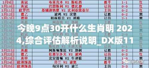 今晚9点30开什么生肖明 2024,综合评估解析说明_DX版11.703
