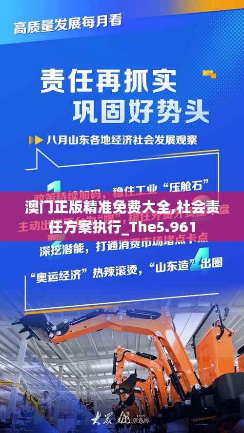 澳门正版精准免费大全,社会责任方案执行_The5.961
