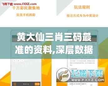 黄大仙三肖三码最准的资料,深层数据应用执行_SHD5.543