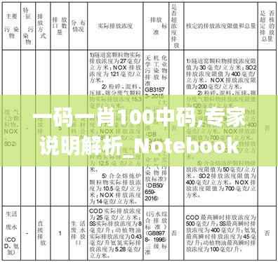 一码一肖100中码,专家说明解析_Notebook9.227