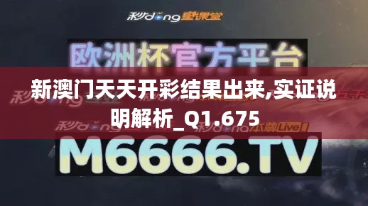 新澳门天天开彩结果出来,实证说明解析_Q1.675