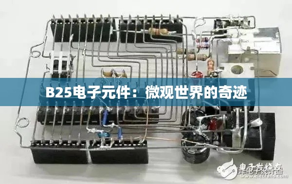 B25电子元件:微观世界的奇迹