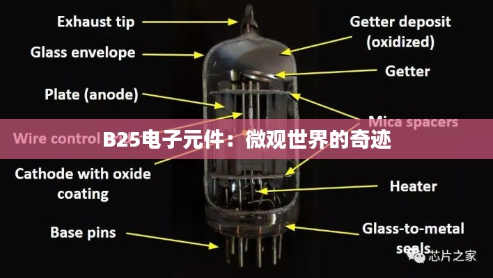 B25电子元件:微观世界的奇迹