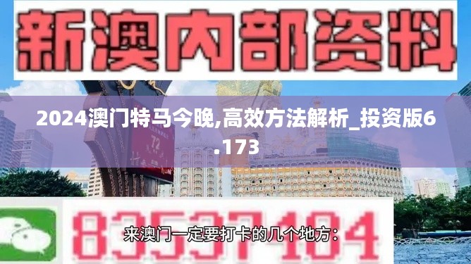 2024澳门特马今晚,高效方法解析_投资版6.173