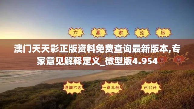 澳门天天彩正版资料免费查询最新版本,专家意见解释定义_微型版4.954