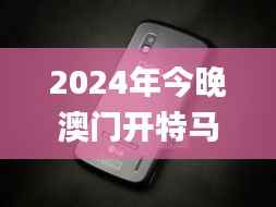 2024年今晚澳门开特马,实际案例解析说明_Nexus6.134