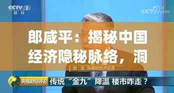郎咸平：揭秘中国经济隐秘脉络，洞悉未来财富密码